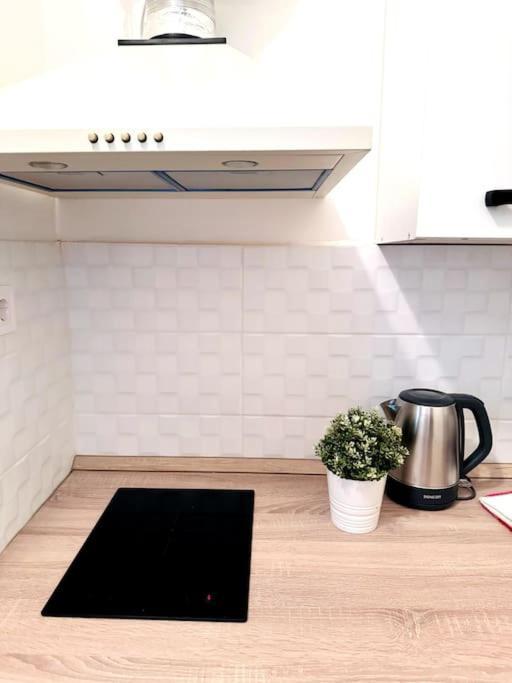 F2 Ultra Central Danube Loft Budapest Eksteriør billede